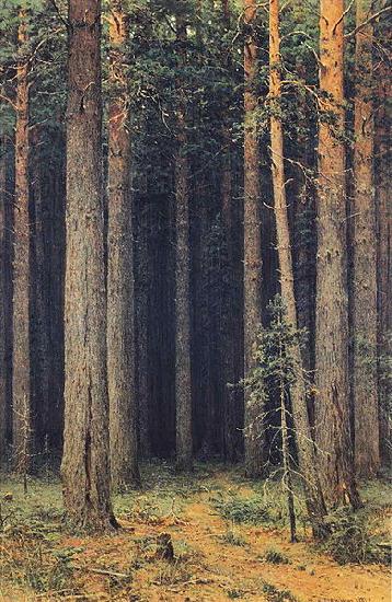 Forest Reserve, Ivan Shishkin